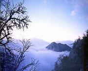 峨边后天天气