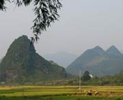 和平明天天气